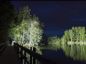 Order Beyond Bright™ Flashlight Today!